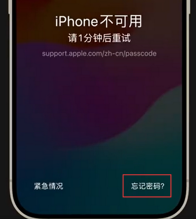 城中苹果手机密码维修分享iPhone忘记了刚设置的密码 