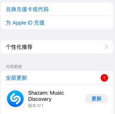城中苹果维修分享无法在iPhone上下载或更新应用办法 