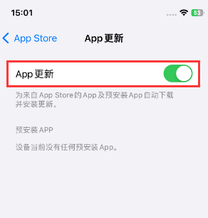城中苹果15维修中心如何让iPhone15APP自动更新